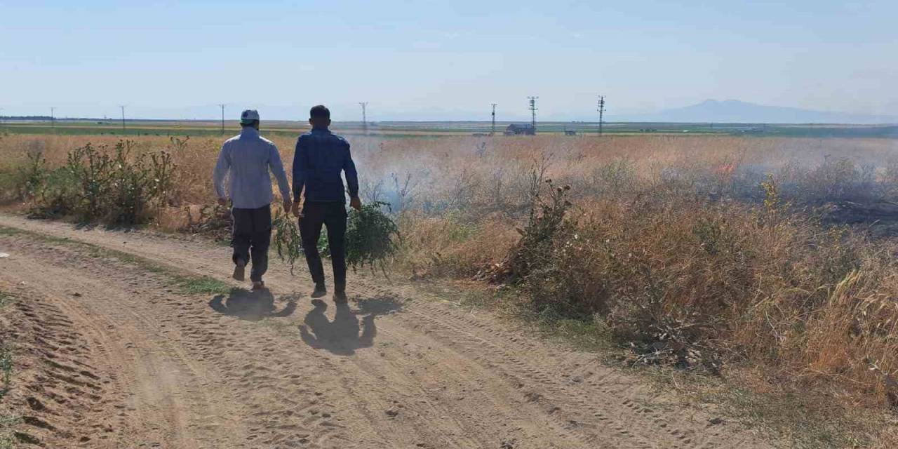 Ceviz Fidanı Dikili Alanda Yangın