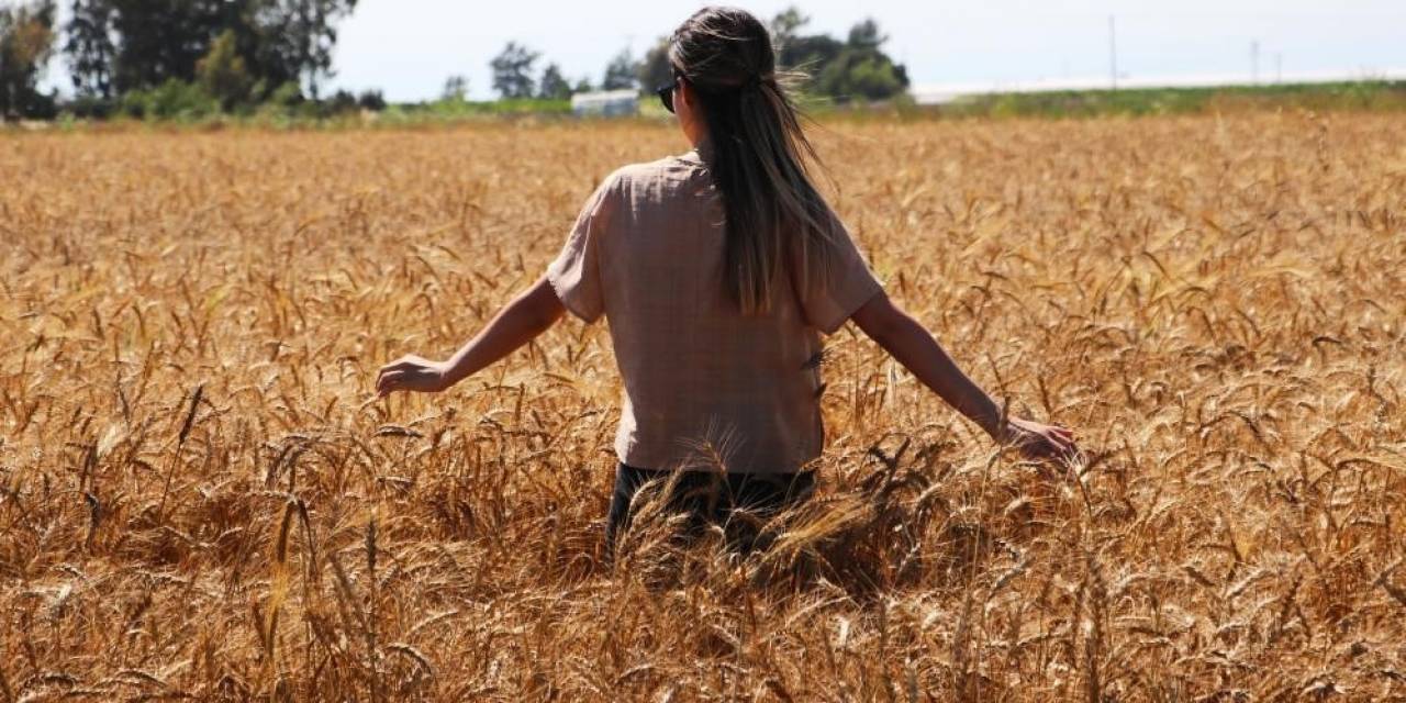 Doğu’da En Yüksek Sıcaklık Yine Kemaliye’de Ölçüldü