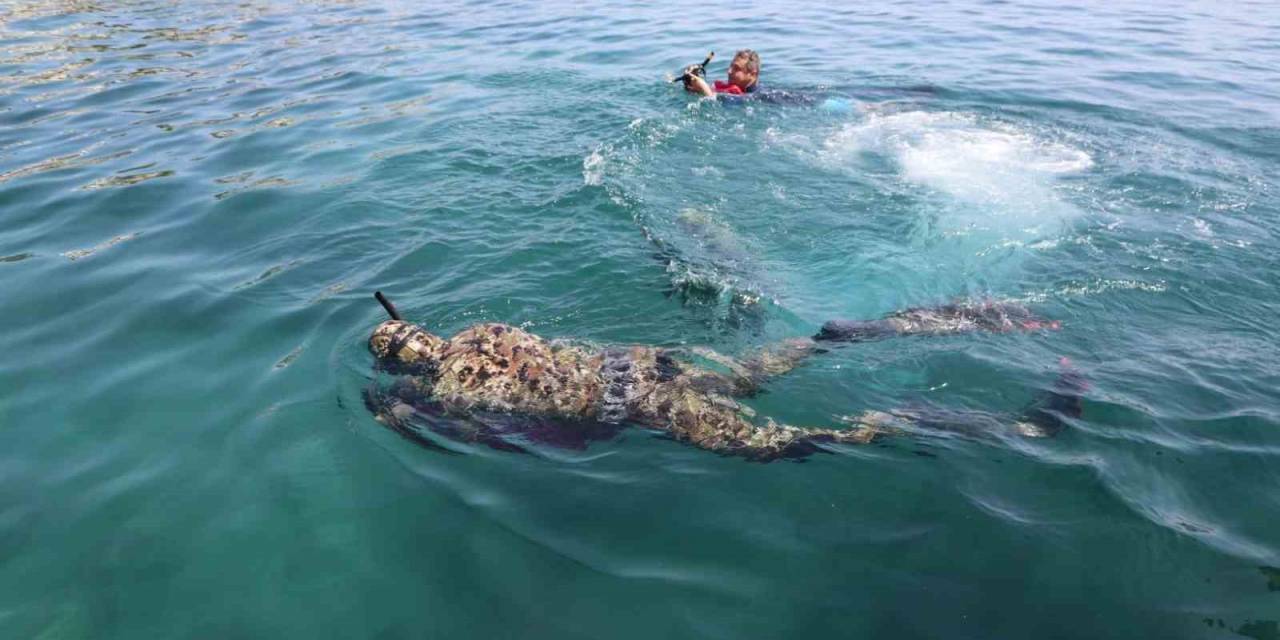 Gündoğan’da Deniz Dibi Temizliği
