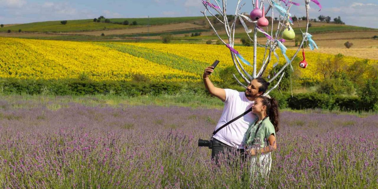 Doğaya Aykırı Rengiyle Fotoğrafseverlerin Uğrak Noktası Oluyor