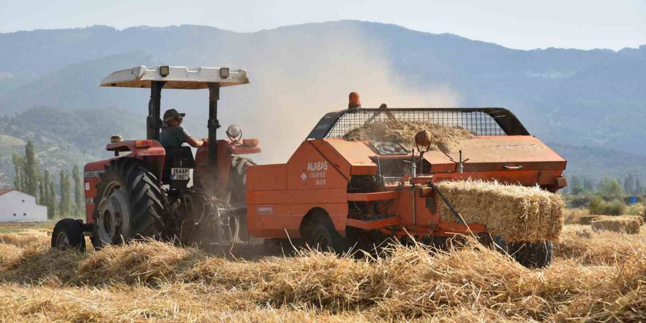 Sındırgı’da Kışlık Yem Hasadı Gerçekleştirildi