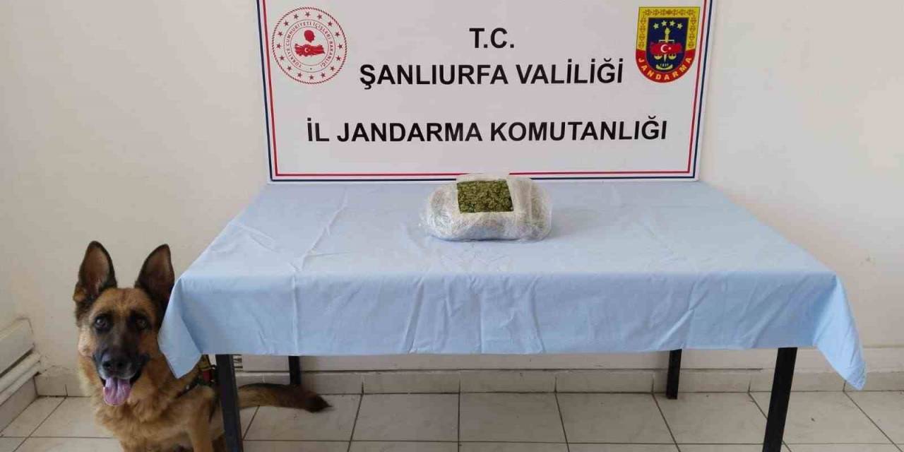 Şanlıurfa’da Uyuşturucu Operasyonu: 5 Gözaltı