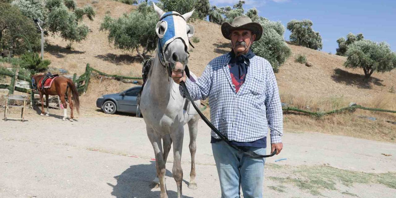 Yetiştirecek Alanı Olmadığı İçin Atlarını Satılığa Çıkardı