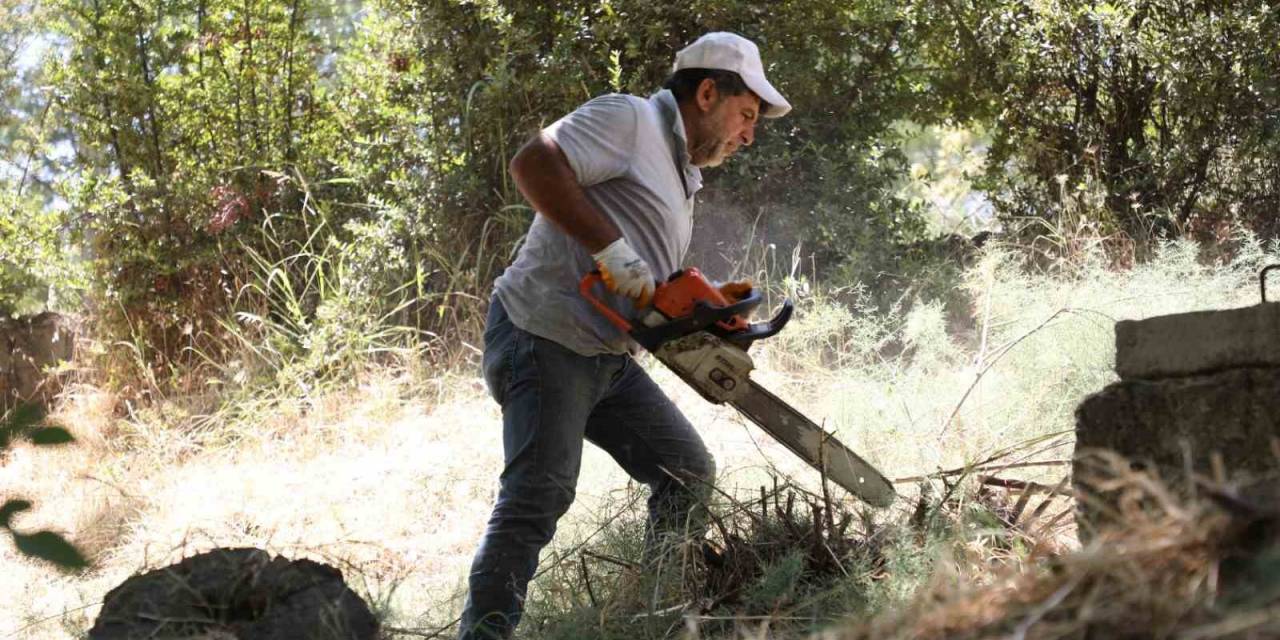 Yenişehir’de Peyzaj Çalışmaları Başladı