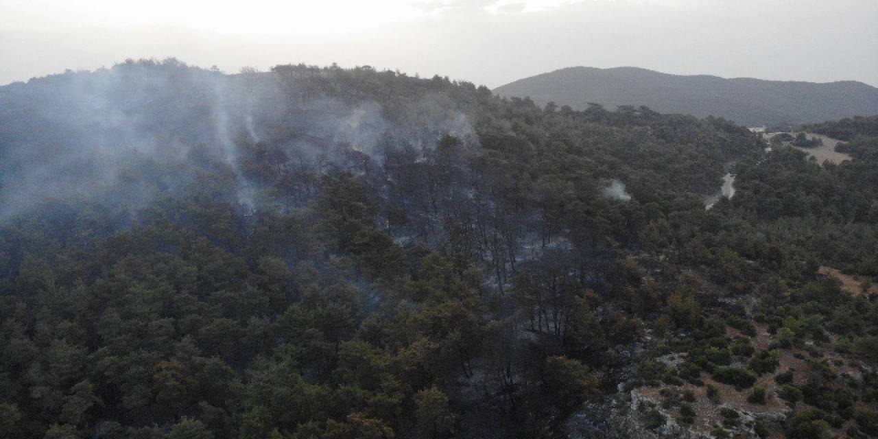 Çanakkale’deki Orman Yangını 16 Saat Sonra Kontrol Altına Alındı