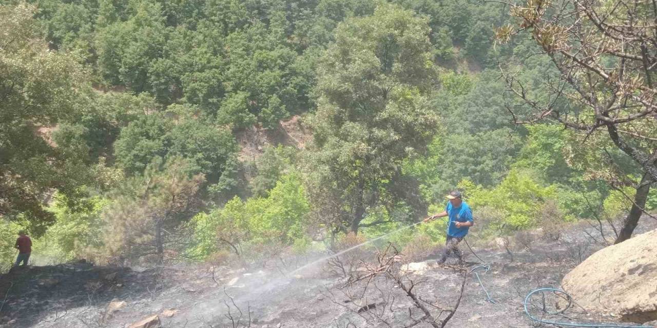 Alaşehir’deki Orman Yangını Kontrol Altında