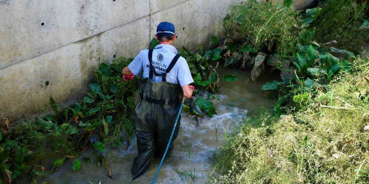Samsun Büyükşehir’den 22 Bin 500 Noktada Vektörlerle Mücadele