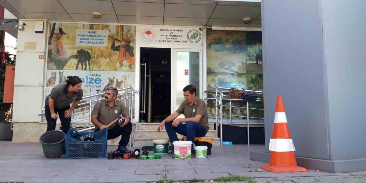 Yalova’da Bıldırcın Sesi Çıkaran Cihazlar İmha Edildi