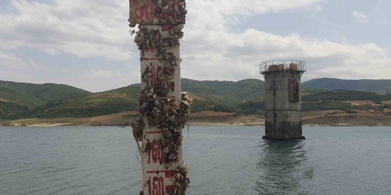 Tekirdağ’ın 2 İlçesi Diken Üzerinde: Sular Her An Kesilebilir