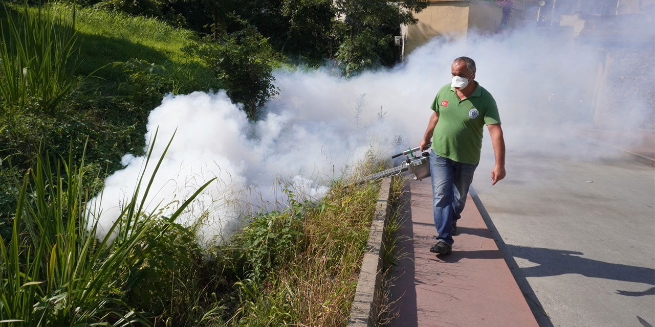 Rize’de bu akşam sivrisinek ilaçlaması yapılacak mahalleler