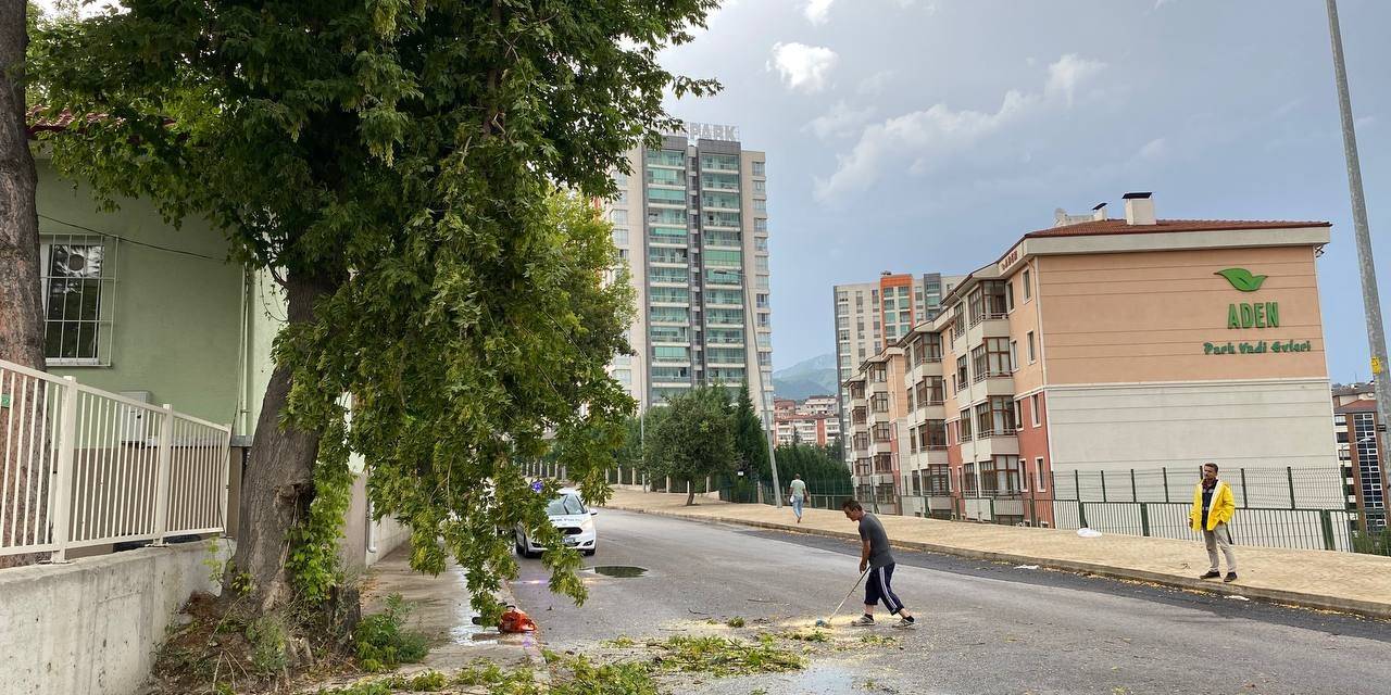 Rüzgar Ağaçları Devirdi, Yıldırım Düşmesi Böyle Görüntülendi