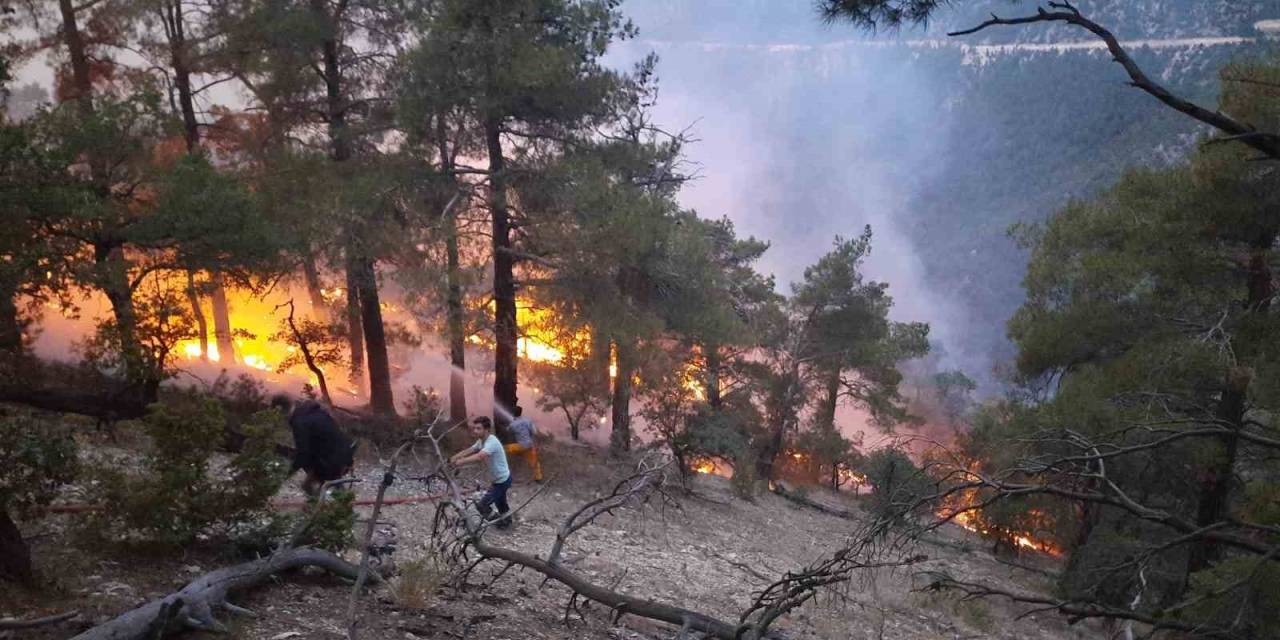 Bolu’da Ormana Düşen Yıldırım Yangın Çıkardı