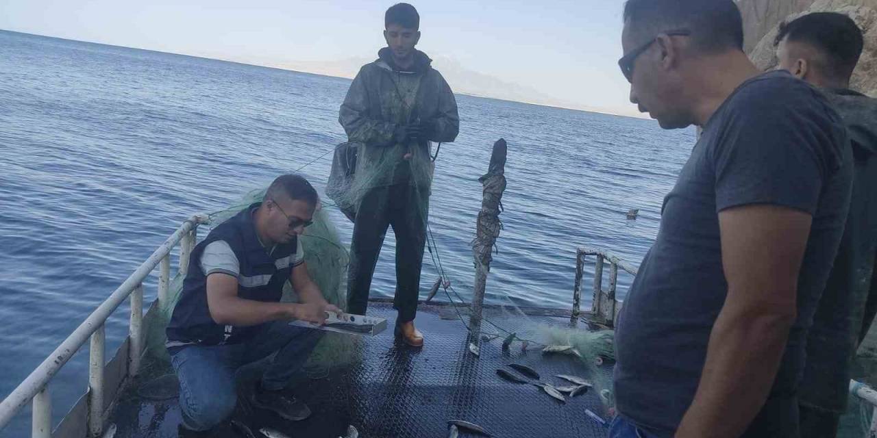 Van’daki Balıkçı Barınaklarında İnci Kefali Denetimi