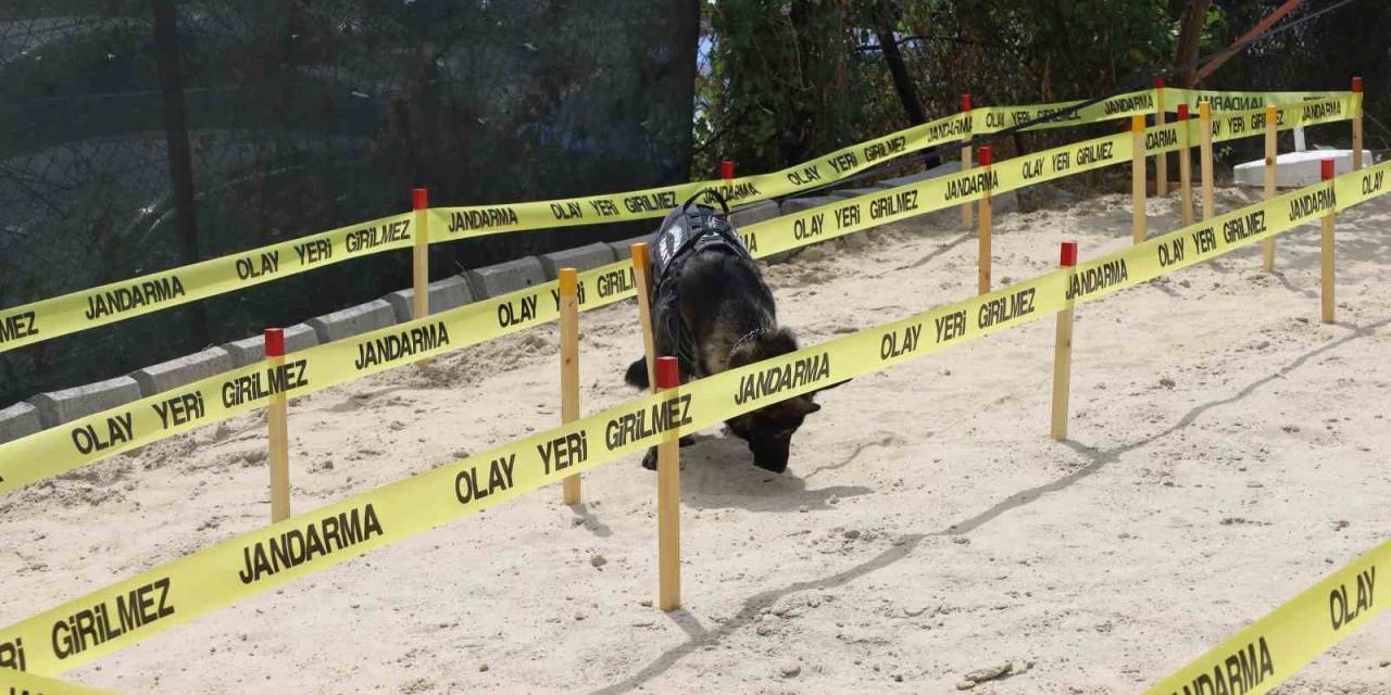 İdef’te Jandarmadan Mayın Tatbikatı