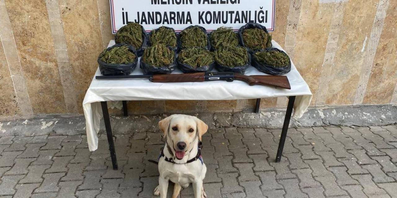 Mersin’de Operasyon: 24 Kilo Skunk Ele Geçirildi