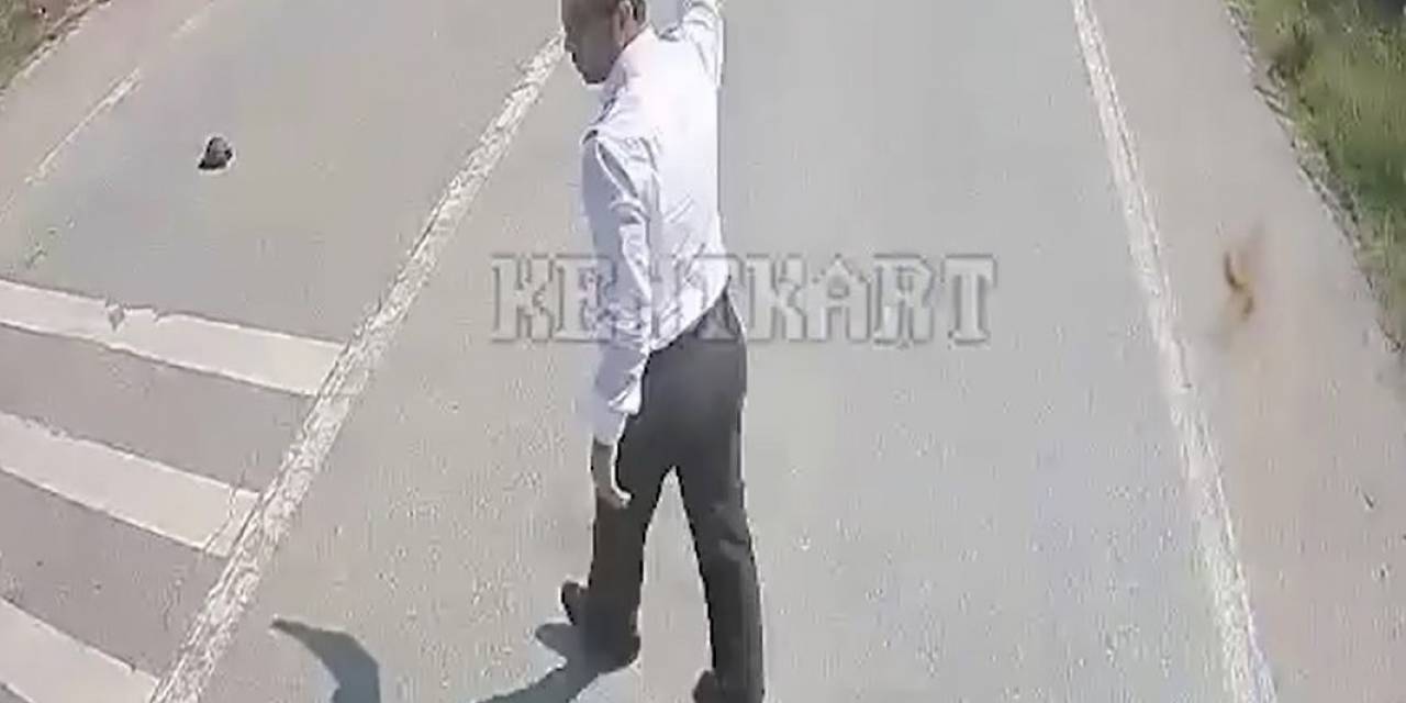 Kaplumbağanın Ezilmemesi İçin Araçları Durduran Şoför Hareketiyle Takdir Topladı