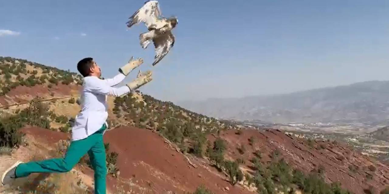 Şırnak’ta Tedavileri Tamamlanan ’yılan Kartalı’ Ve ’kızıl Şahin’ Doğaya Bırakıldı