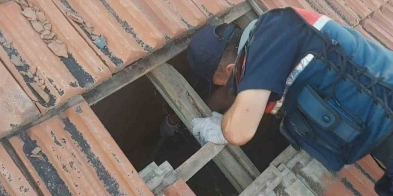 Kiremit Altındaki Gizli Bölmede Esrar Ve Kenevir Çıktı