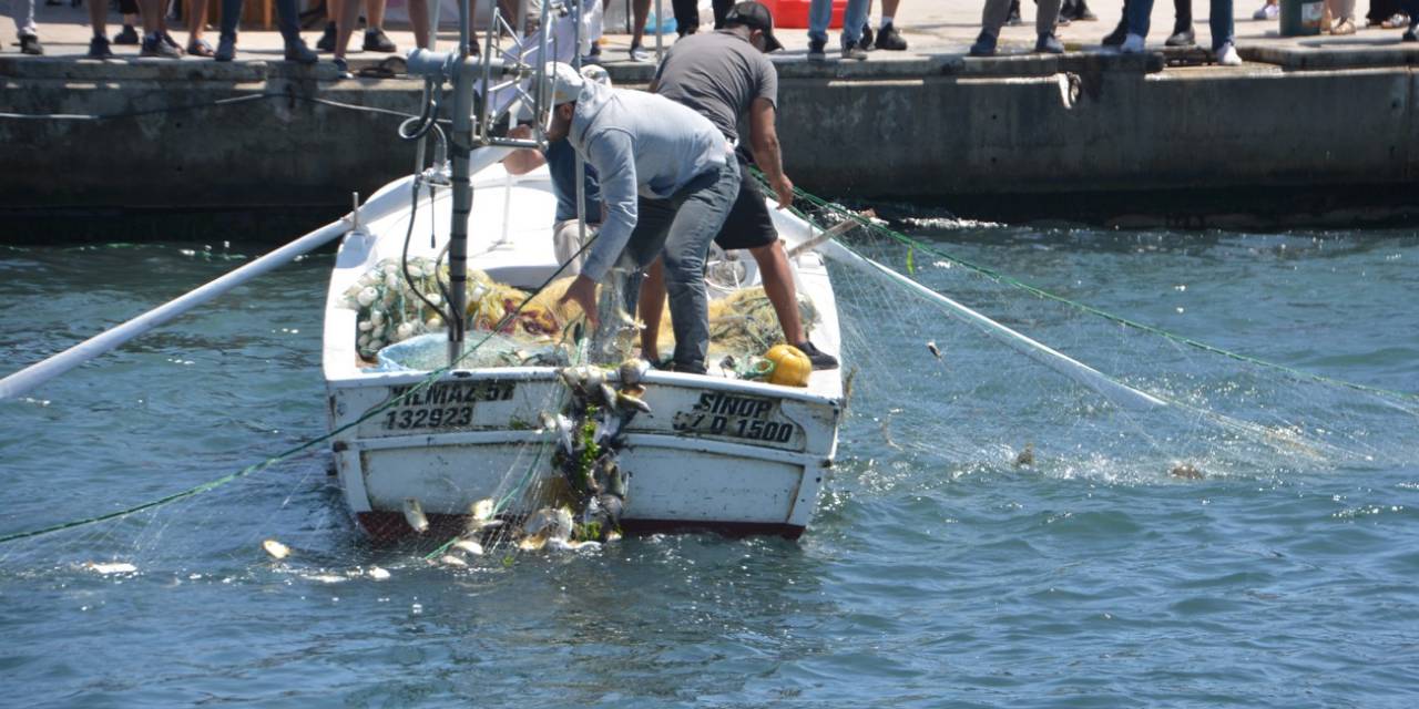 Sinop’ta Deniz Soğuk Yaptı, Vatandaşlar Balık Yakalamak İçin Sahile Akın Etti