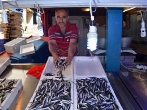 Karadeniz’e Hamsi Erken Geldi