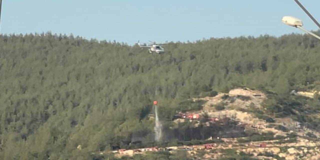 Osmaniye’deki Orman Yangını 4 Dakikalık Müdahaleyle Söndürüldü