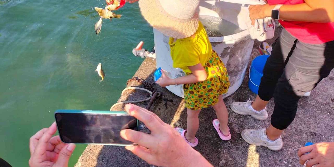 Köyceğiz’de 318 Bin Yavru Sazan Balığı Sulara Bırakıldı