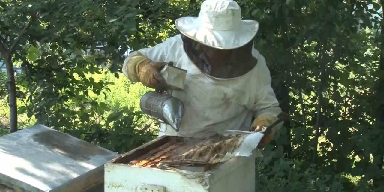 Bal Üretiminde Dünyada İkinci Sıradayız