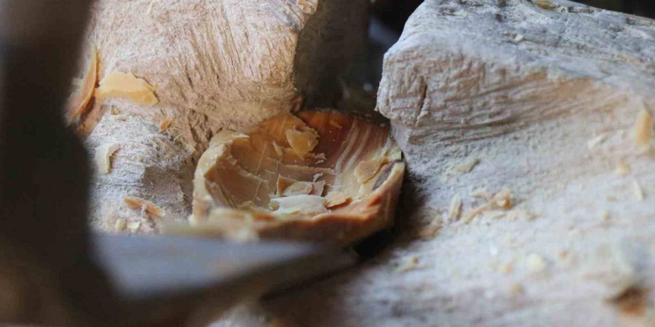 Zamanın Gözde Mesleğiydi, Teknolojiye Yenildi