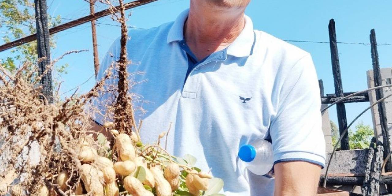 Yılın İlk Fıstığı 125 Tl’den Alıcı Buluyor