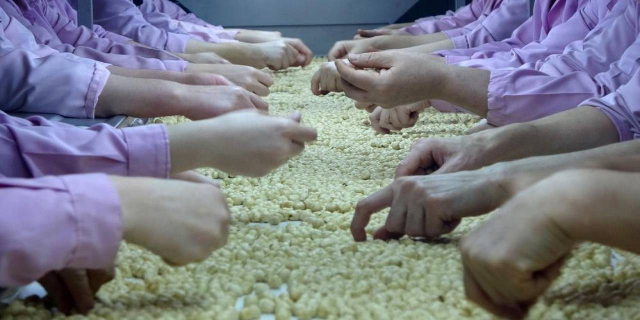 Yarıyılda 2 Bin 520 Ton Fındık İhraç Edildi