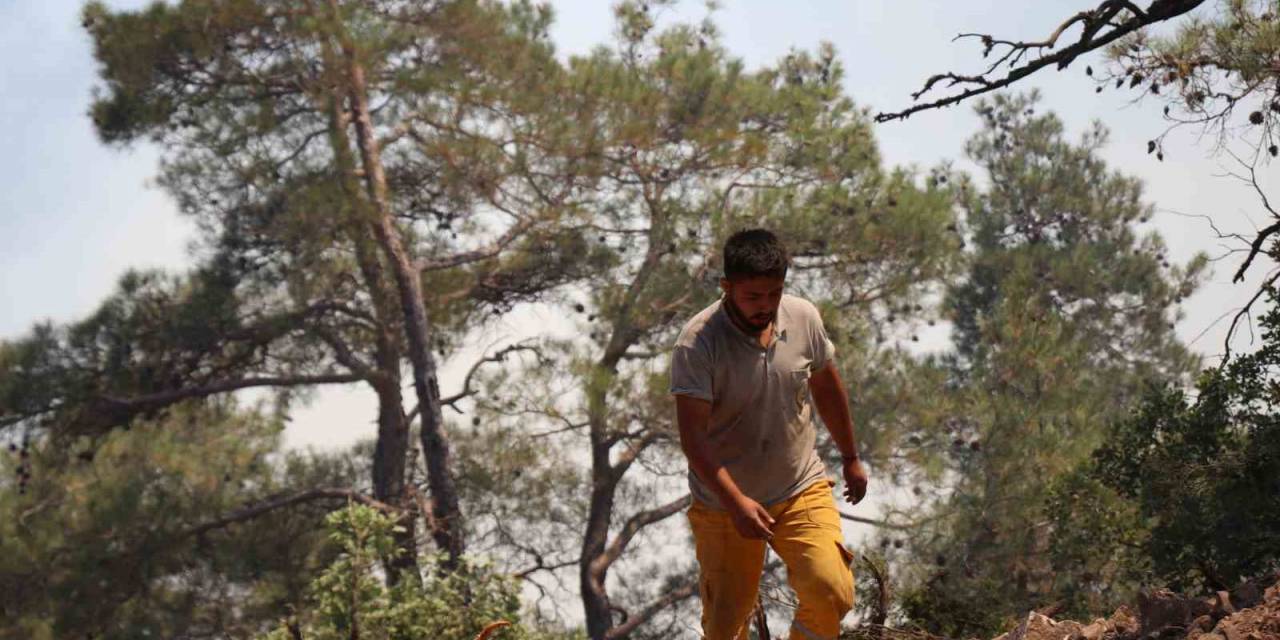 Bolu’daki Orman Yangınına Müdahale Devam Ediyor