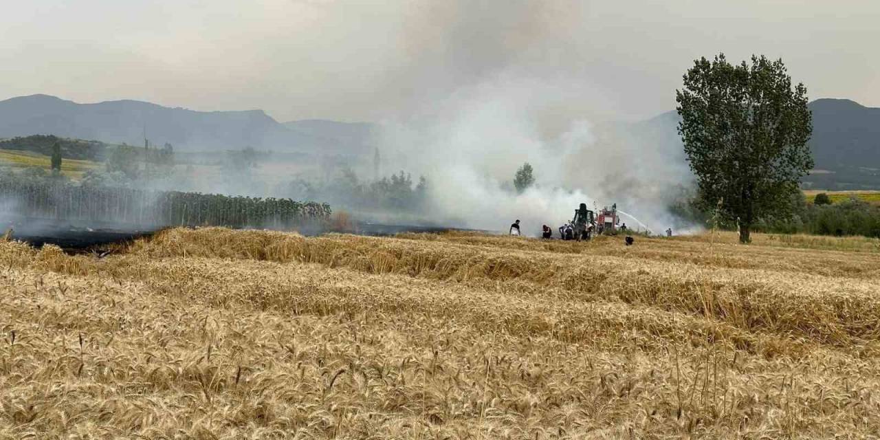 Yenipazar’da Ekin Tarlarında Peş Peşe Yangın