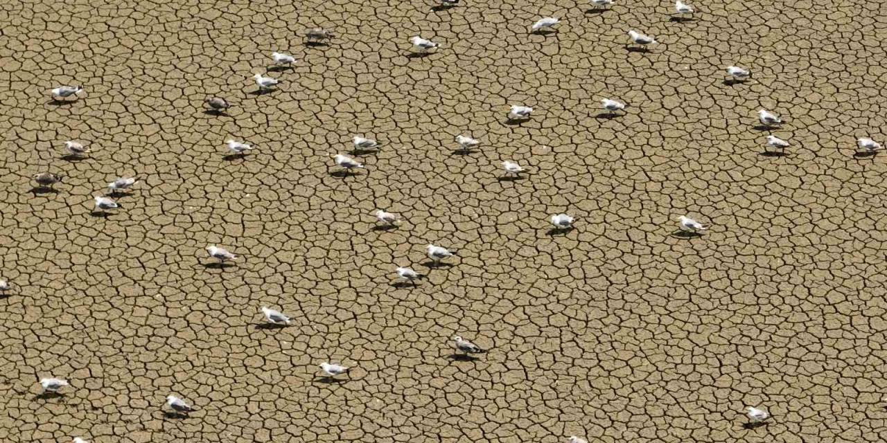 Sıcak Havanın Etkisini Sürdürdüğü İstanbul’daki Barajlarda Son Durum