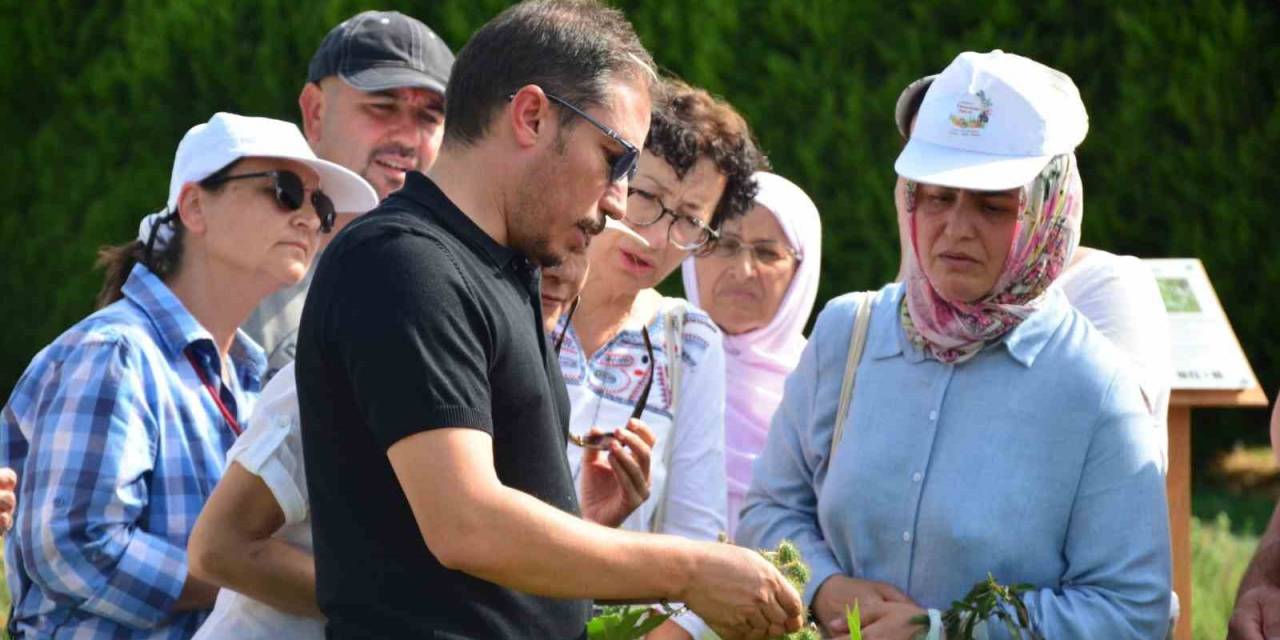 Balıkesir’de Bahçıvanlık Kursuna Kadınlardan Yoğun İlgi