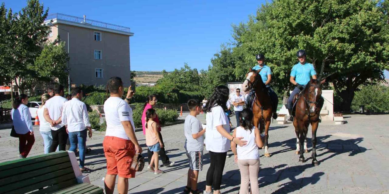Elazığ’da ‘atlı Jandarma Timi’ Göreve Başladı