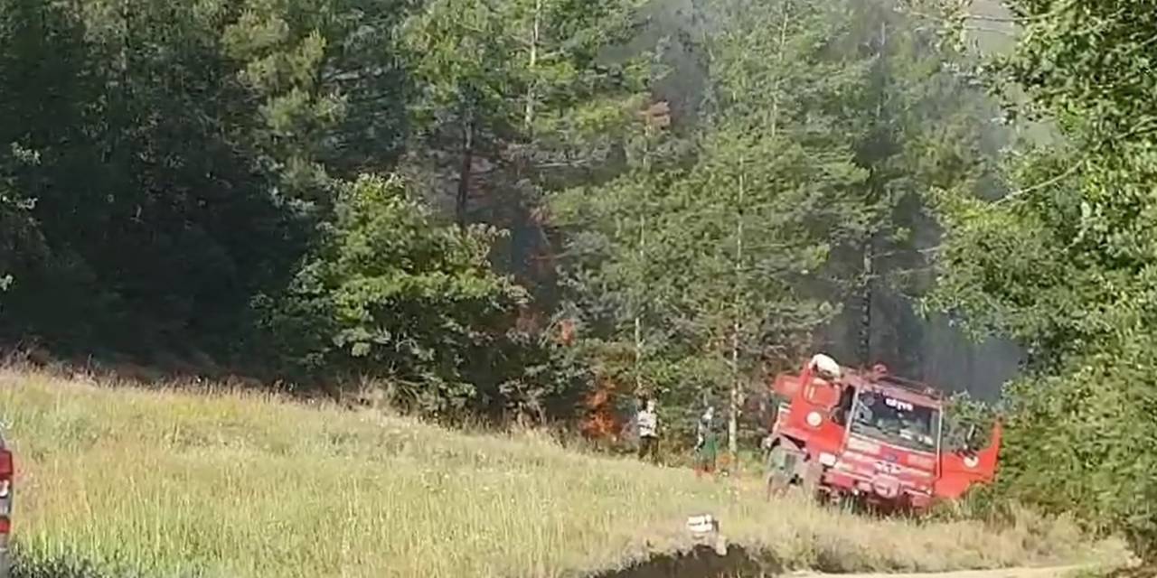 Sakarya’da Orman Yangınına Havadan Ve Karadan Müdahale Sürüyor