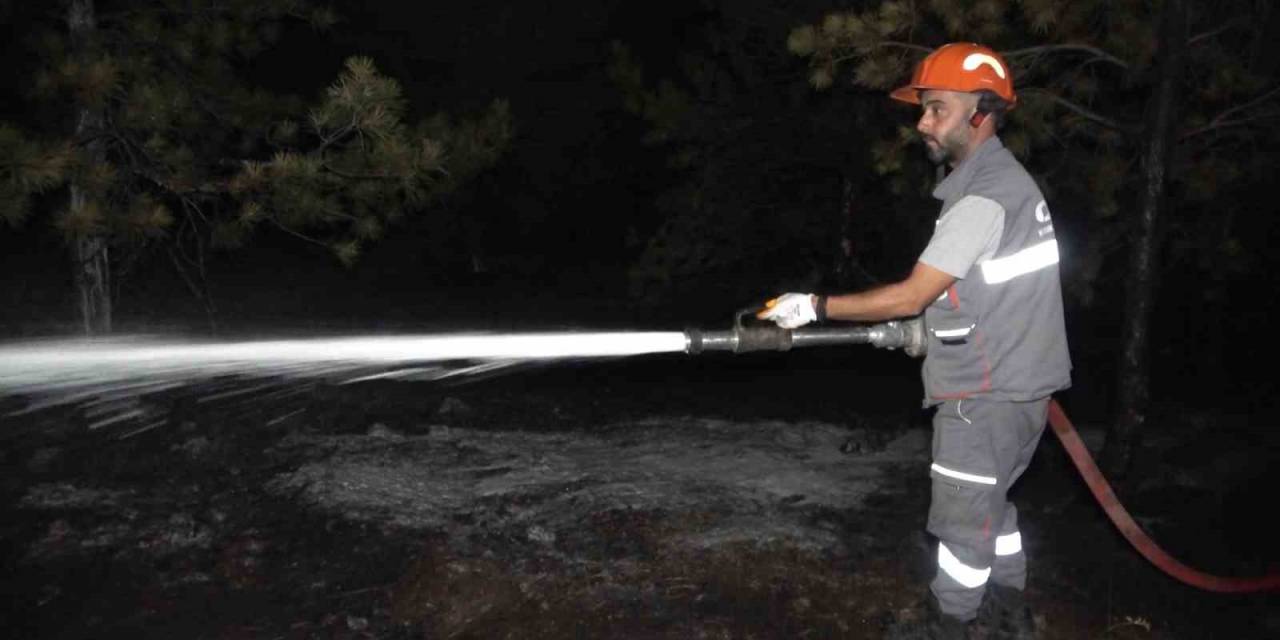 Kırıkkale’de Orman Yangını