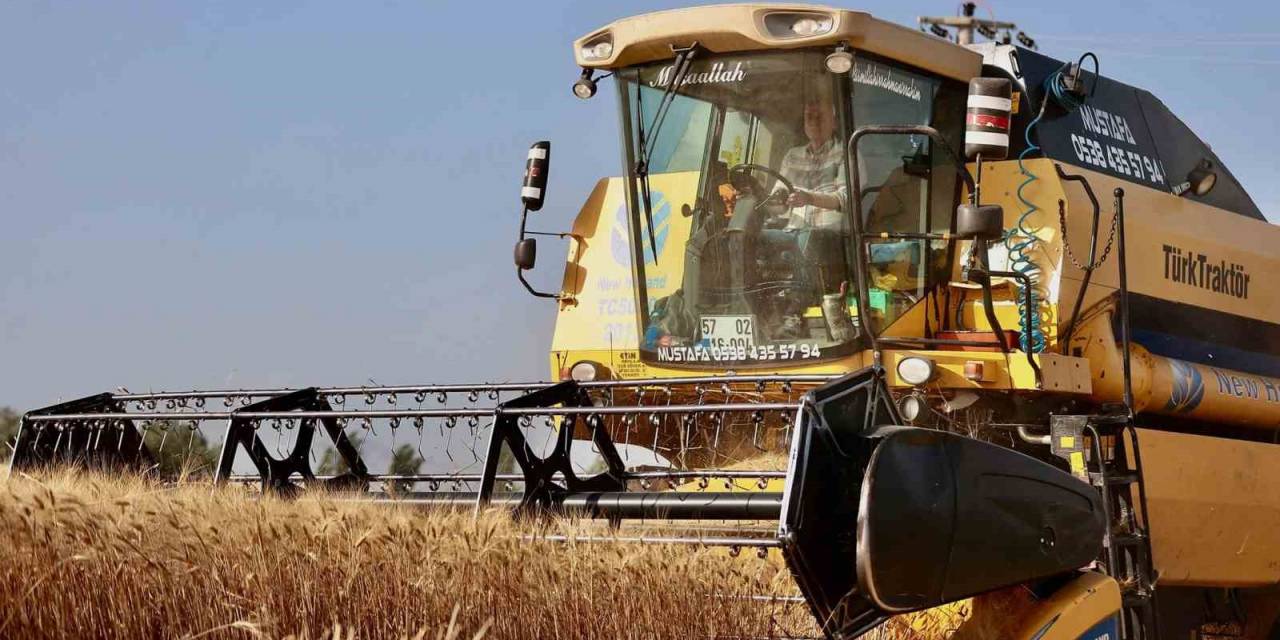 Başkan Zolan, Biçerdöverle Buğday Hasadı  Başladı
