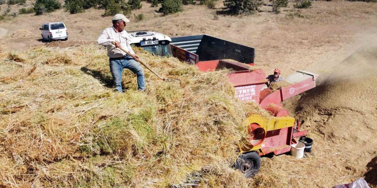 Yozgat’ta Yeşil Mercimek Hasadı Sonrası Çiftçilerin Saman Mesaisi