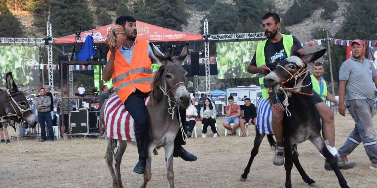 Eşek Üzerinde Ellerindeki Topla Gol Atmak İçin Çabaladılar