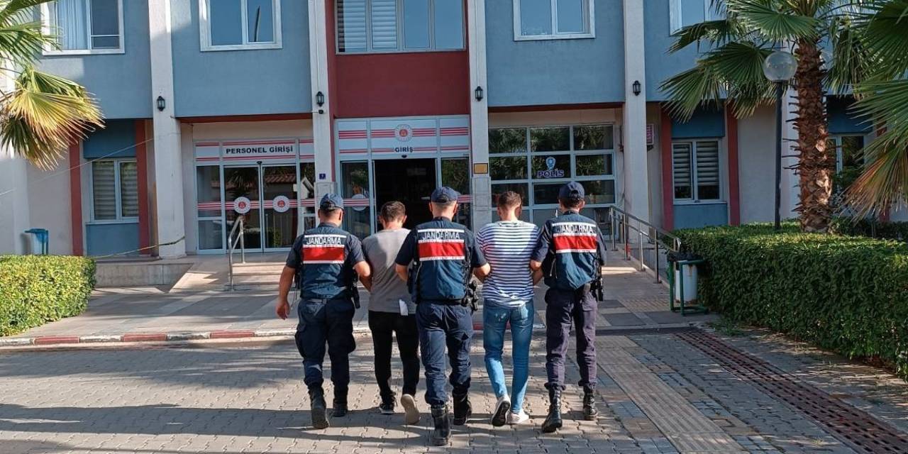Zeytinyağı Hırsızları, Kıskıvrak Yakalandı