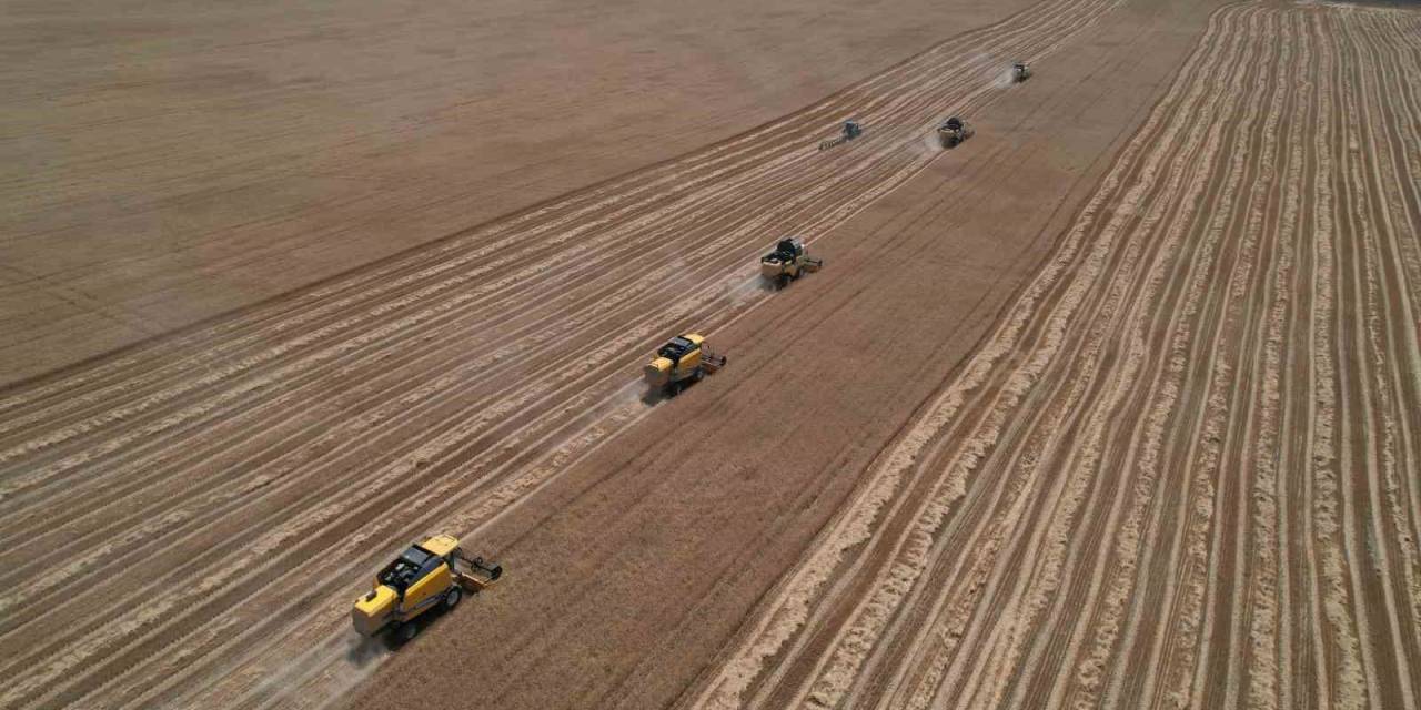Ankara’nın Tahıl Ambarında Hasat Zamanı