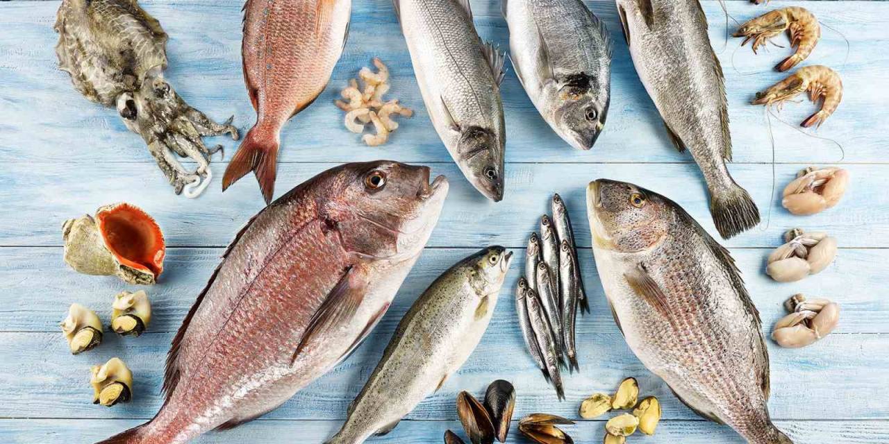 Türkiye’nin 6 Aylık Su Ürünleri İhracatı 829 Milyon Dolara Ulaştı