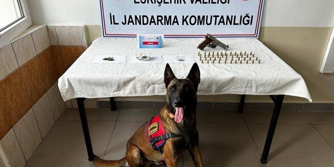 Eskişehir’de Mezarlığa Uyuşturucu Eken Şahıslar Yakayı Ele Verdi