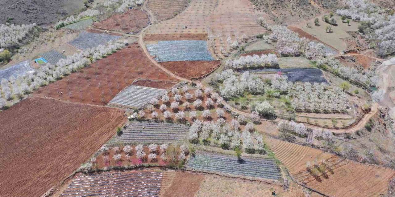 Adana Büyükşehir’den Üreticiye Destek