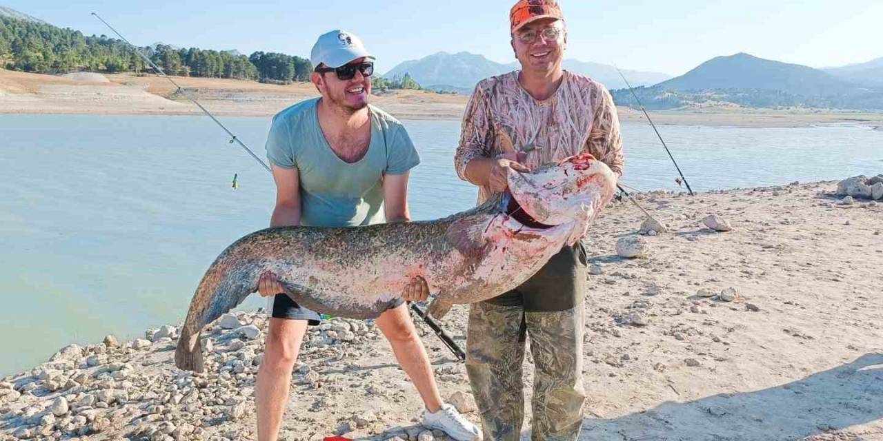 Sazan Beklerken Oltaya 2 Metrelik Yayın Balığı Takıldı