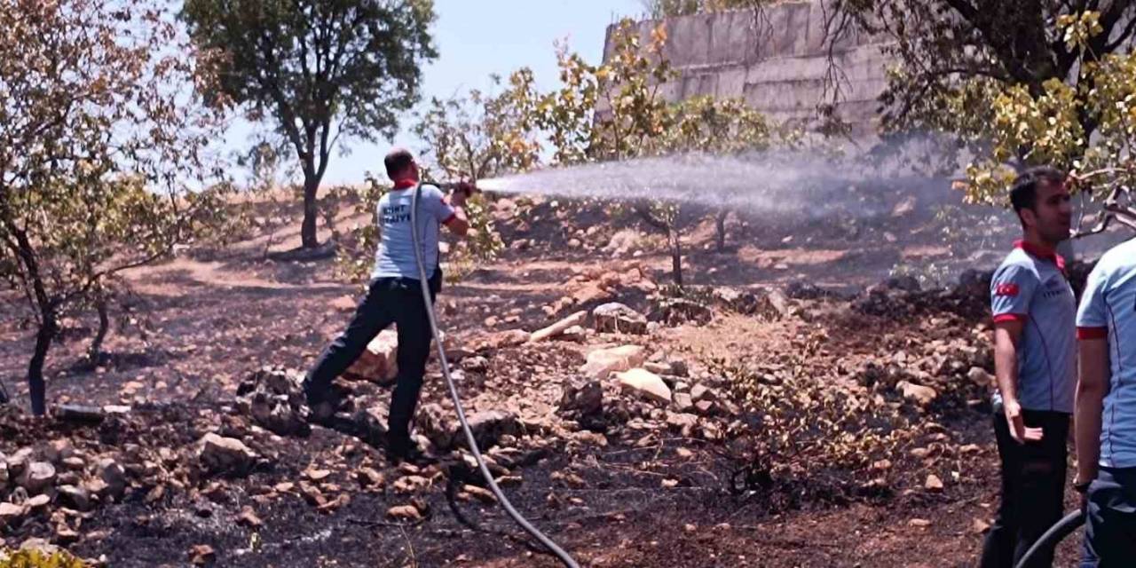 Siirt’te Çiftçinin Onca Yıllık Emeği Küle Döndü