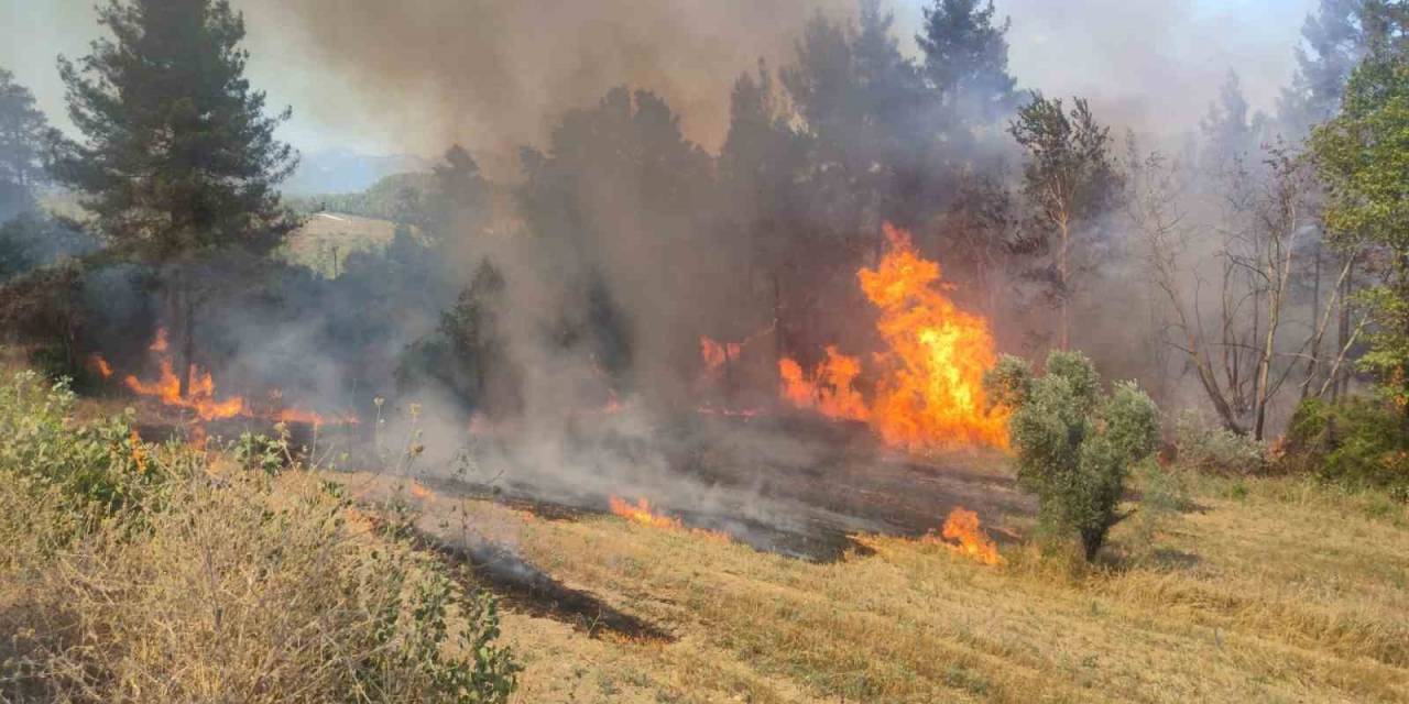 Burdur’da Çıkan Orman Yangınında 3 Dekarlık Alan Yandı