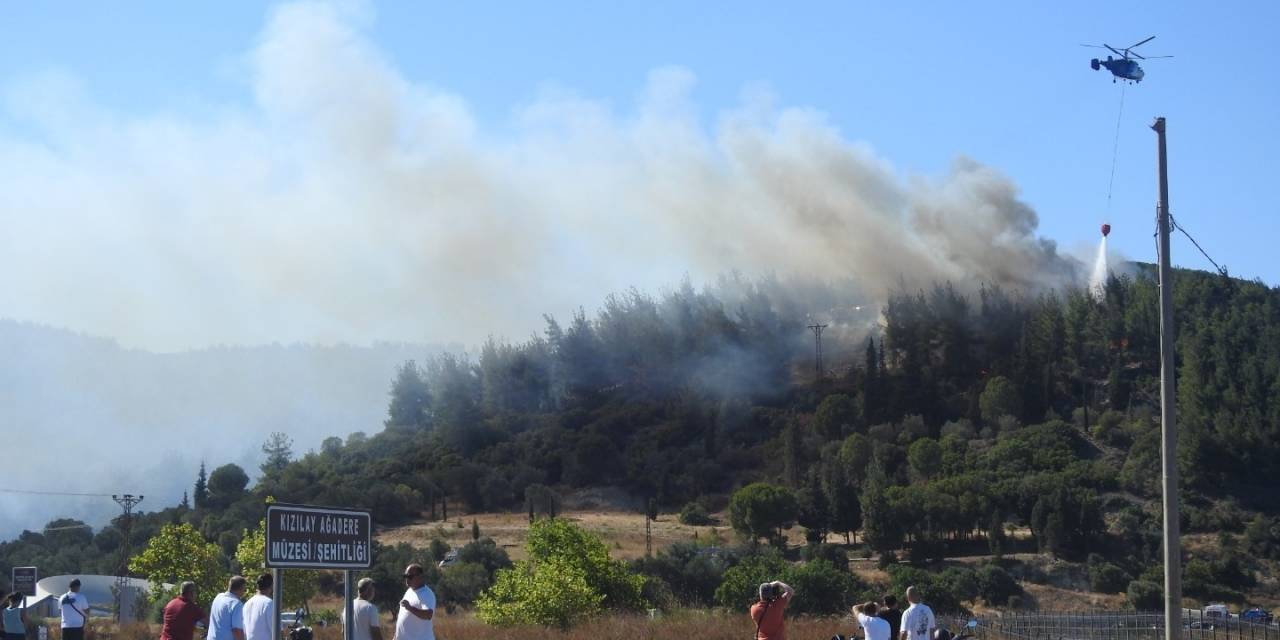 Çanakkale’de Orman Yangını Kontrol Altına Alındı