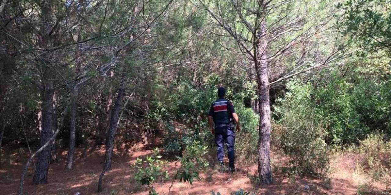 Ormanlık Alanda Mangal Yaktılar, Cezadan Kaçamadılar